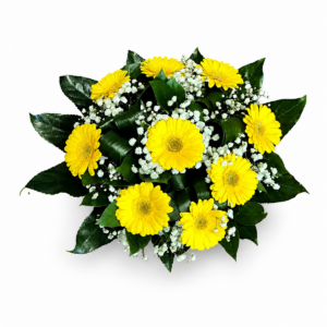 Paprsek radosti – žluté germíny s gypsophilou
